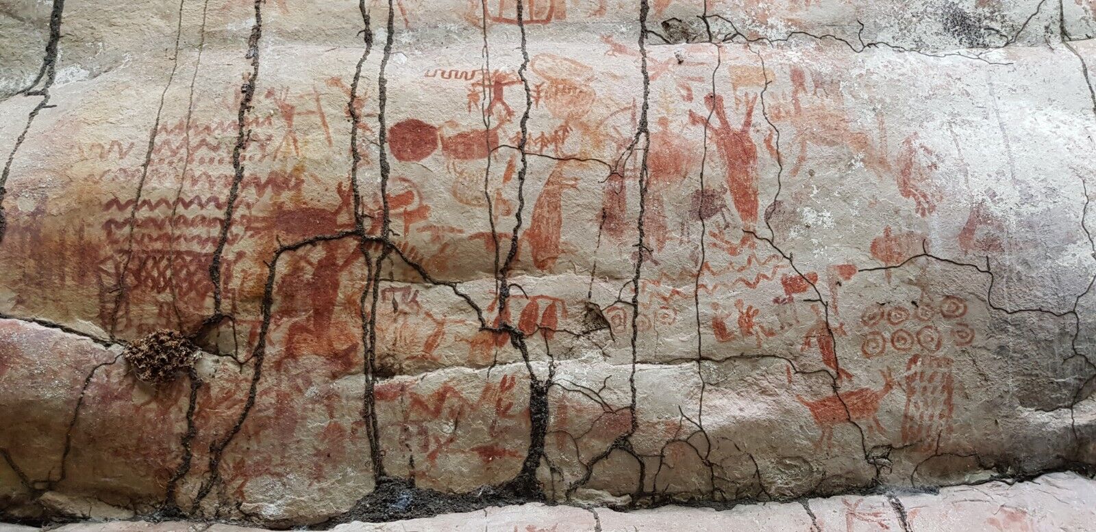 Spectacular eight-mile frieze of Ice Age beasts found in Amazon rainforest
